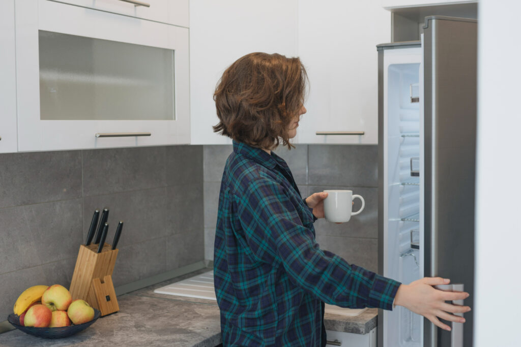 AEG Fridge Repairs Glenwood