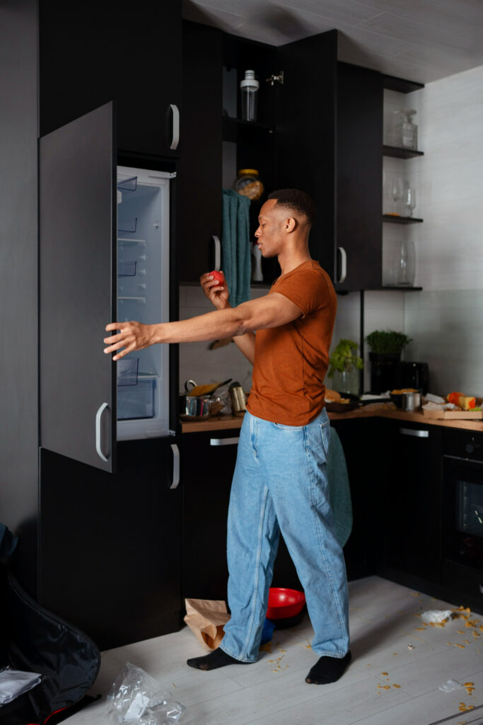 AEG fridge repairs Vista